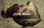 (C) M. Hutter